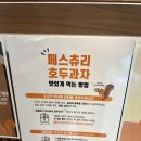 숲속호두