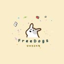 프리독스 이미지