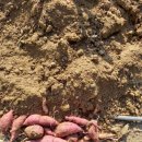 해뜬농장 이미지