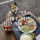 초낭재