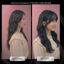컷] 대전 동구 자양동 미용실에서 찾은 인생 머리! 밝은 갈색 톤다운 염색 + U뱅 플로팅 뱅 앞머리...