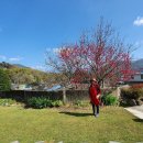 큰길민박 이미지