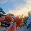 무주반딧불맛집 이미지