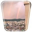 강서구-37 이미지