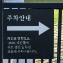 고양이정원 - 강서구 개화동로19길 18 | 제주 서귀포 카페 이정의댁 후기｜고양이 있는 제주 돌담 정원카페, 햇살 좋은 서쪽 감성카페