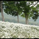 나절로미술관 이미지