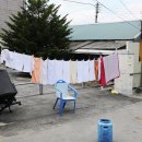 평원로(C) 이미지