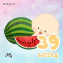 충렬통닭 수영점 | 임신 후기 39-40주 / 페도라바구니카시트 ・ 그대로볶음장 ・ 아키와와 ・ 아난티부산앳코브 ・ 광안리...