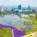 나주 빛가람호수공원=1만 1,000송이 수국이 호수를 감싸안았아요" 전망대 품은 1,800평 도심 속 공원 이미지