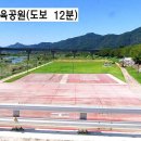 다세대마트 이미지