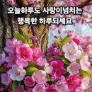 단대오거리역 Daum카페