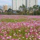 광교중앙역 4번출구 이미지