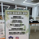 원당동 | [ 인천 ] 원당동 파충류샵, 크레리즘 후기