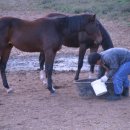 명신목장 이미지