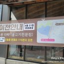 유자네 댕댕이 네이버블로그