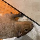 테이블에이 이미지