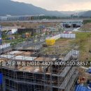 알파대구지부 이미지