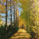 화원관광지 이미지