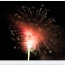 나의 전원생활 12편(멋진 염소 종모 입식과 나의 새로운 생활의 시작) 이미지