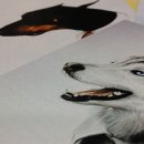 이음컴퓨터디자인학원 이미지