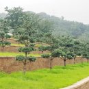 인천가족공원 이미지