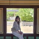 밀양 반값여행 후기~ (말보르 승마장/아뜰리에/위양지/밀양관아/밀양읍성/영남루/밀양시문화도시센터...