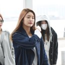 정화패션 뉴스엔