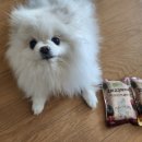 마드레펫 이미지