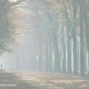 마한서점 이미지