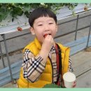 참마음 태권도장 이미지