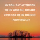 Bible Reading - Proverbs 5:1~14 이미지