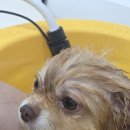 포레멍 | “왜 포레멍은 케어샷 스킨케어기를 쓰나요?”