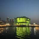 세송이꽃