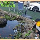 달래네하우스 이미지