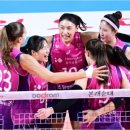 흥국생명 이미지