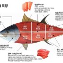진참치 - 홍성군 아문길29번길 39 | 진참치
