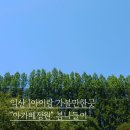 전라북도 익산 | 아이랑 가볼만한곳 "아가페정원" 봄나들이, 예쁜 조경과 성당 카페 후기