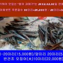 명품날라리 이미지