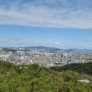 자유인 Daum카페