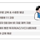 테리뉴 네이버블로그