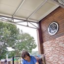 도그피아 애견 훈련 학교 이미지