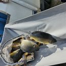 명암낚시터 이미지