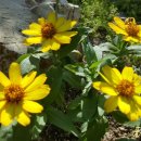 시청공원 이미지