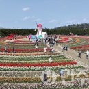 2025 섬 튤립축제 이미지