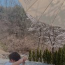 공지숲매점 이미지