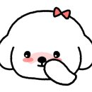 구공스테이 세종 이미지