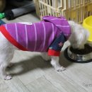 퍼스트초이스 이미지