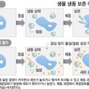세기냉동 이미지