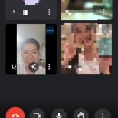 도그루밍 이미지