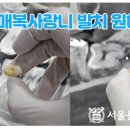 이한치과의원 이미지